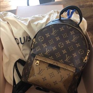 Louis Vuitton Palm Springs PM Backpack